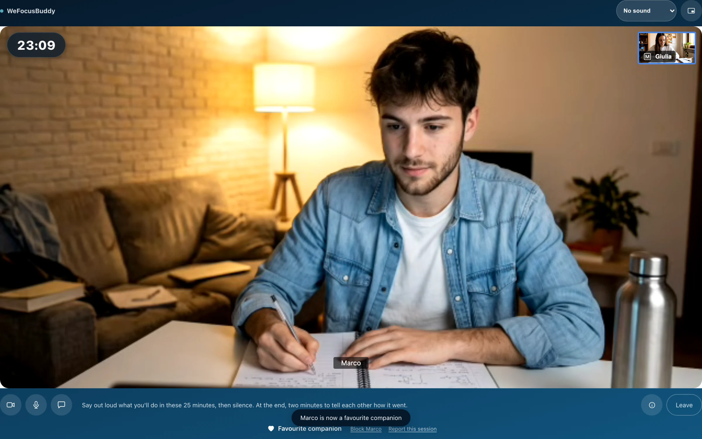The video call with the «Favourite companion» heart pressed and the notice confirming it.